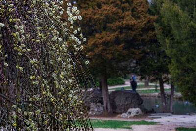 Прикрепленное изображение: VIX2us6Duks.jpg